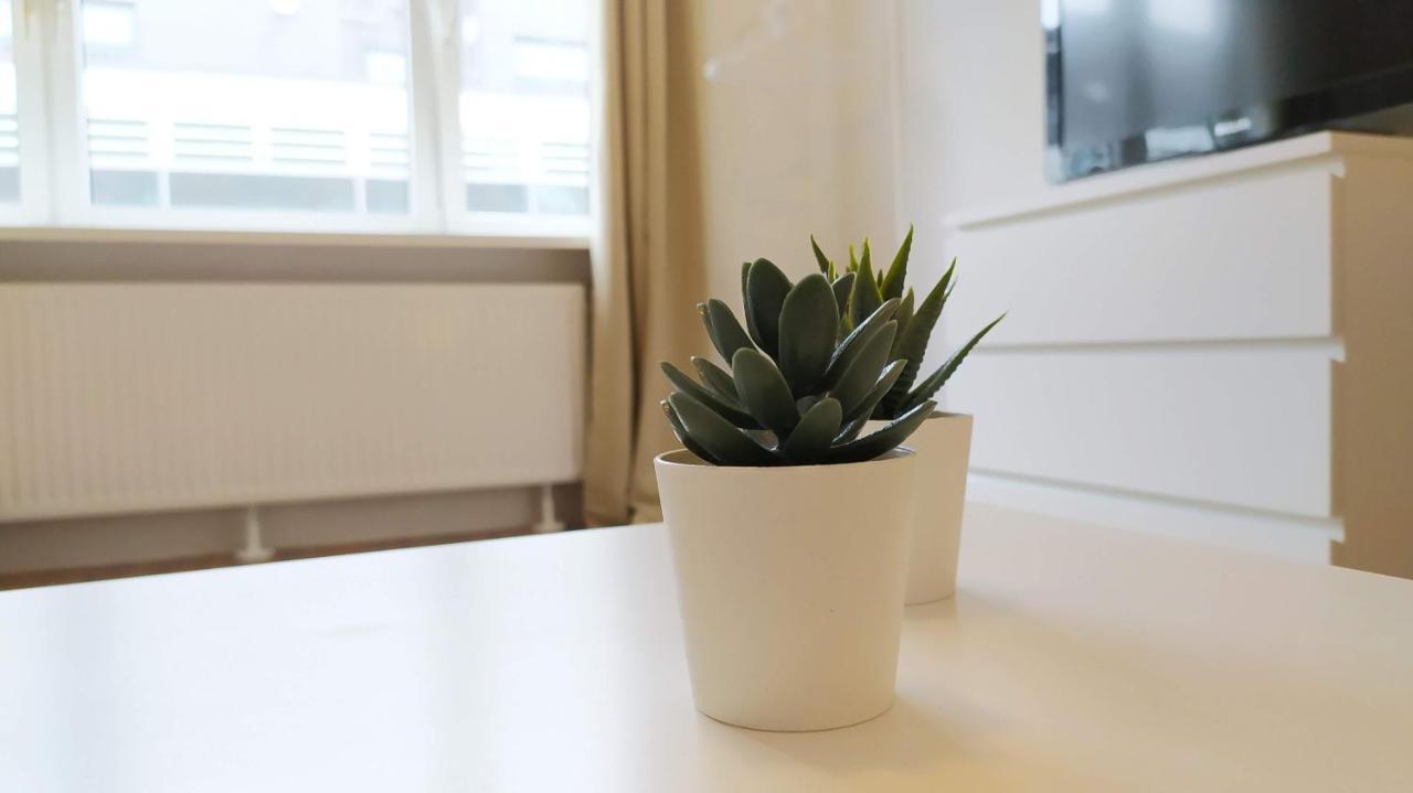 Moderne City Apartments Im Stadtzentrum Kiel Eksteriør billede